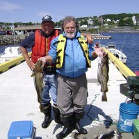 Catching cod07